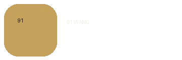 91网